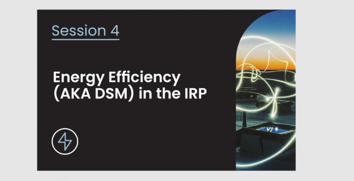 Energy Efficiency (aka DSM) in the IRP