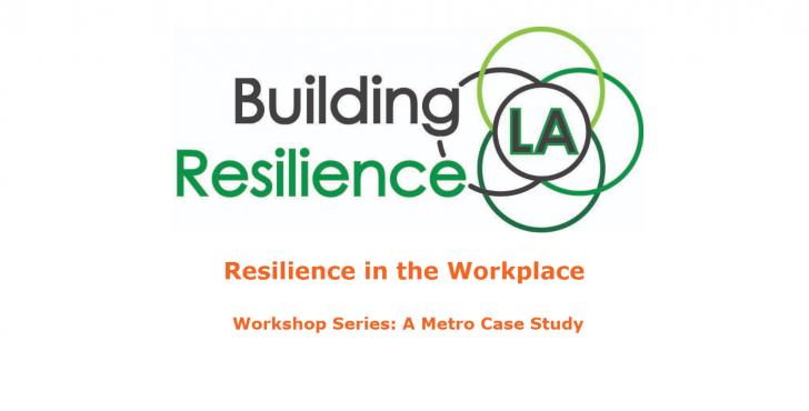 Resilience Workshop Series - Resilience in the Workplace: A Metro Case Study,