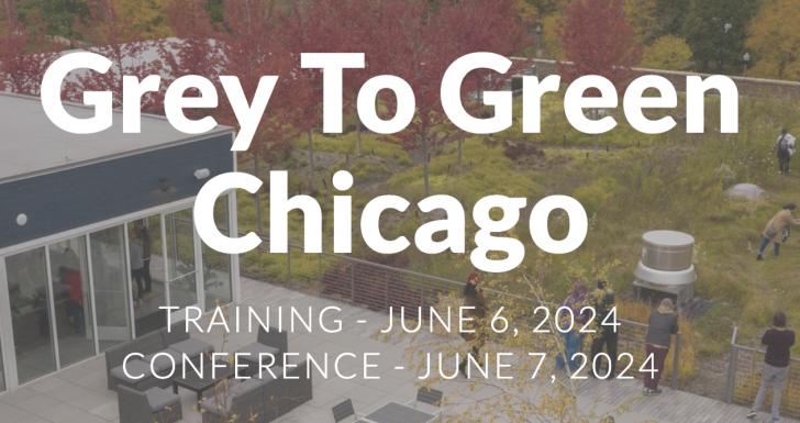 Grey To Green Chicago, June 7