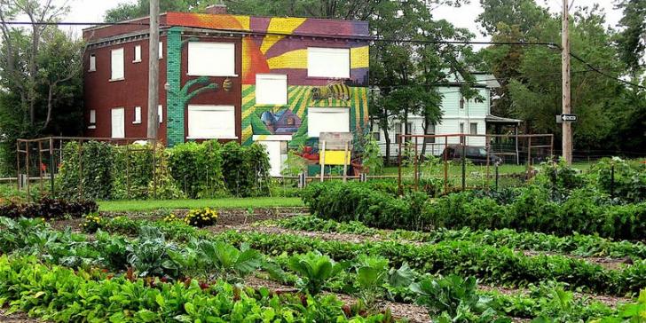 Urban Agriculture, Green Cities
