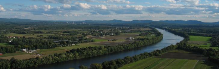 WMGC, Carbon Sinks, Green Building