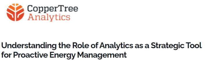 Understanding the Role of Analytics as a Strategic Tool for Proactive Energy Management