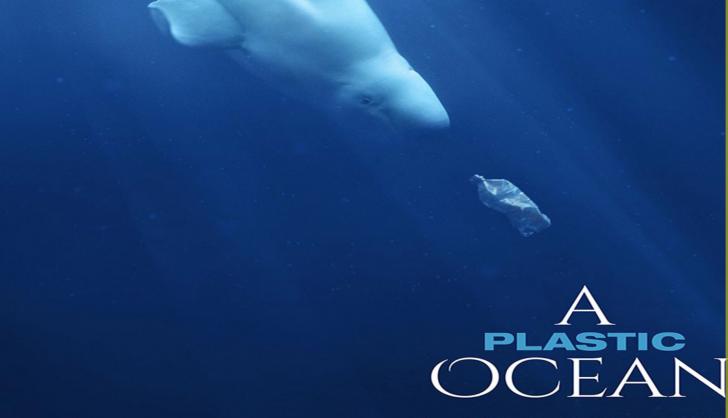 A Plastic Ocean Movie Screening