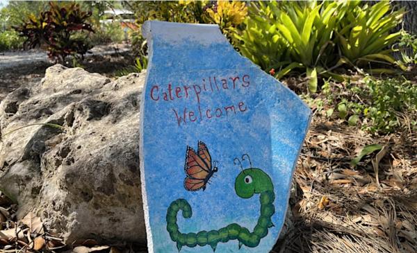 Demonstration Garden Tour: Shamrock Park