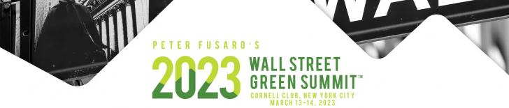 2023 Wall Street Green Summit, NYC and Virtual