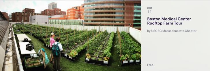 Boston Medical Center Rooftop Farm Tour